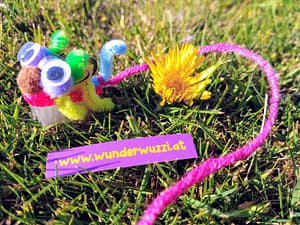 Gassi gehen - Wunderwuzzi Roboter